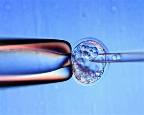 找女孩代孕生子·深圳供卵代生小孩价格