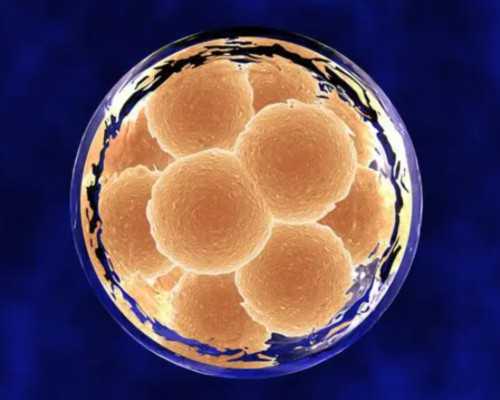 深圳哪里代孕_深圳北京私人100万找代妈【汇聚专家，让生命的种子发芽】