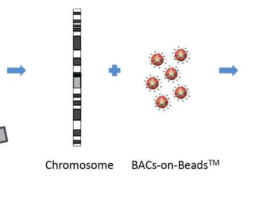 喝了水但是马上又感到口干