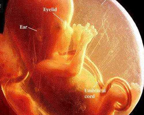 广东省沙质最好的四大沙滩 玩水必去