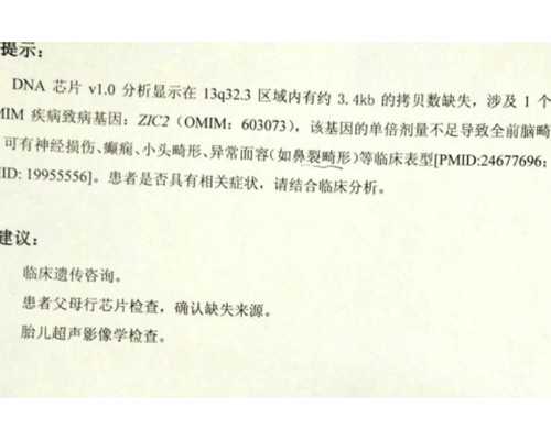 供卵试管那个最权威-代生产子有户籍吗