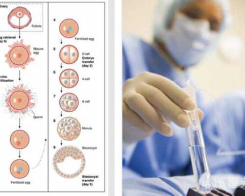 深圳代孕联系方式-深圳哪地方代孕权威-孕妇喝茶叶会流产吗