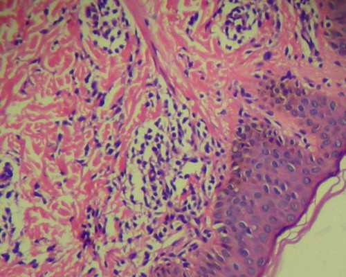 深圳借卵生男孩儿-深圳代生生子攻略