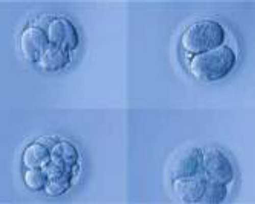 深圳试管婴儿哪家医院成功率最高？试管成功率排名