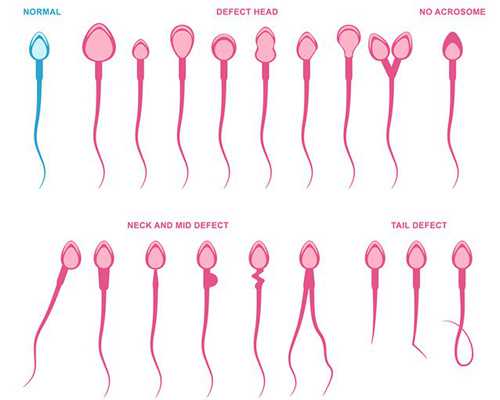 深圳代孕最便宜,深圳十大试管医院排名你知道几个?