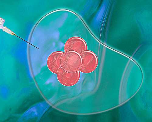 腮帮子里面的肉肿了怎么回事