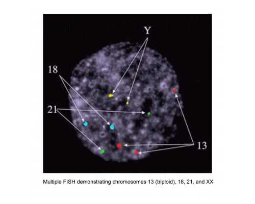 供卵生殖机构,中草药治疗方法