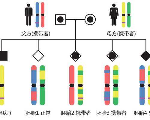 ，嘉兴妇保院试管嘉兴市妇幼保健院试管婴儿多少钱[浙江试管婴儿]