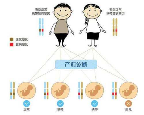 深圳助孕宝宝的血型_深圳为何禁止商业助孕【深圳助孕,希望在这里诞生。】