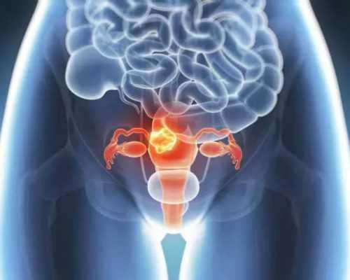 医院做济南供卵多少钱,同性做试管去哪