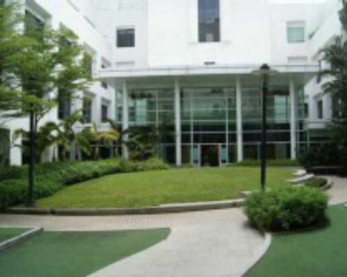 深圳代母-深圳代孕生儿子多少钱-二胎超生罚款会取消吗