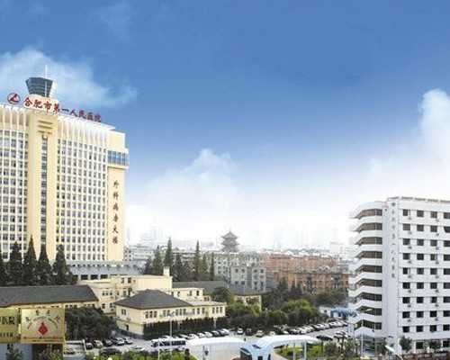 广东正规代孕中心,养肝草在广东叫什么