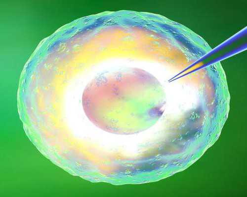 深圳代孕公司山东临沂，深圳最可靠试管代怀孕