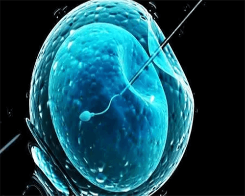 话森卵啥意思,在代生生一个儿子多少钱