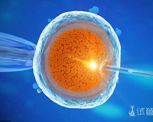 北京代孕网_北京代孕医院_孕晚期吃什么好消化