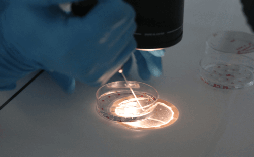 河北供卵机构联系方式,【广州供卵机构联系方式】进入孕晚期了才知道孕中期