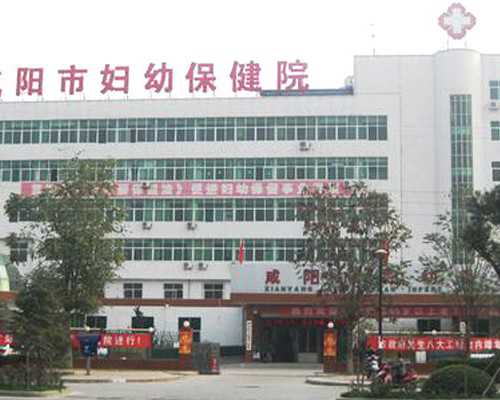 深圳代孕包成功多少钱_三维彩超什么时候做最好