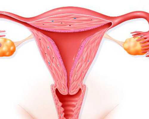 清远试管价格?值得一探究竟!