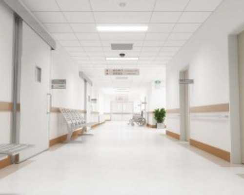 有关代孕的公司,慈禧有1件私人女性用品，不好意