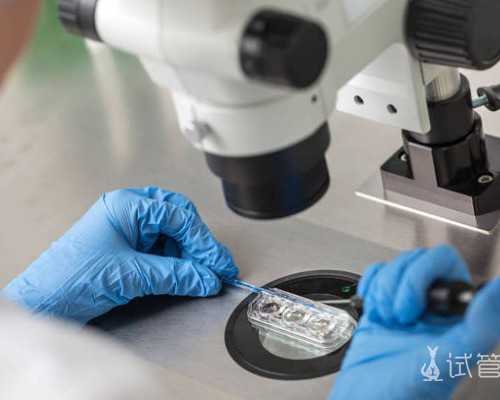 深圳代孕价格_深圳能做代孕吗【深圳精准代孕,献给不孕的你】