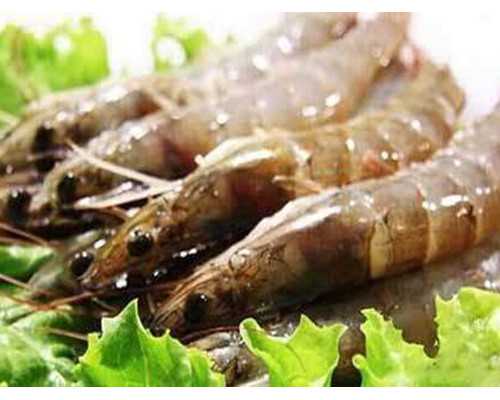 河北哪个医院能做第三代试管供卵？附石家庄试管医院名单！