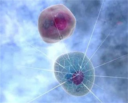 深圳代孕选男女~深圳想做代孕去哪里好【父母的期盼，天使的摇篮】