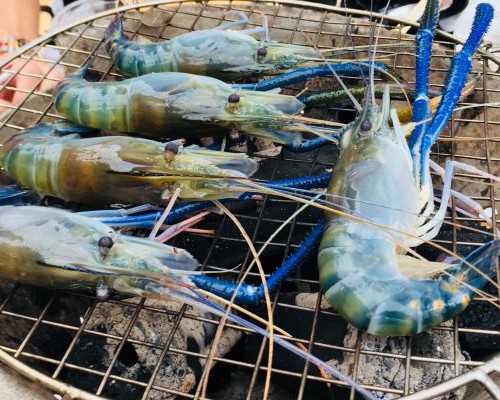 广东省三代胚胎移植公司排名前十的有哪些