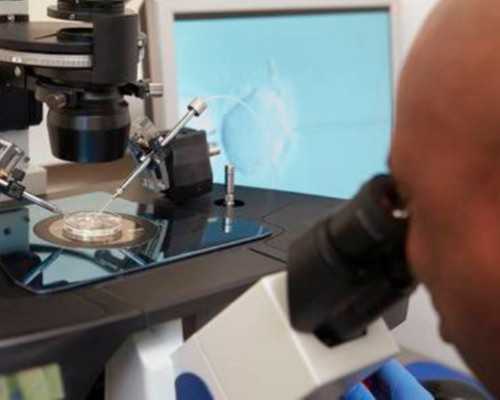 借卵子生的孩子是亲生的吗-代怀包成功流程