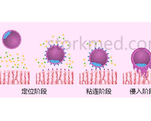深圳代孕中介-深圳代孕是否犯法-深圳找俄罗斯女人代孕多少钱