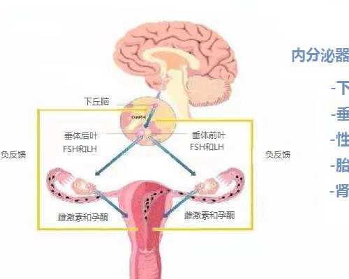 长春供卵试管代生孩子,2026年在上海长征医院做一次供卵试管大概多少钱？