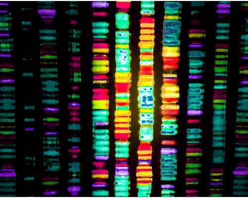 绥芬河代孕医院-绥芬河怎样找代孕-绥芬河代孕包