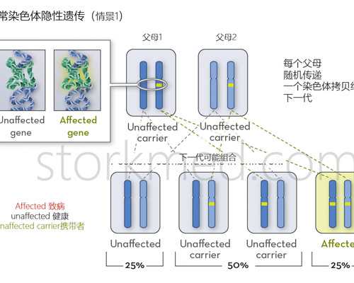 深圳代孕-深圳谁愿意做代孕-明天做b超可以吃饭吗