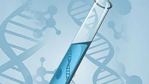 男方1号染色体异常试管，月经期间如何减肥月经期间减肥正确方法