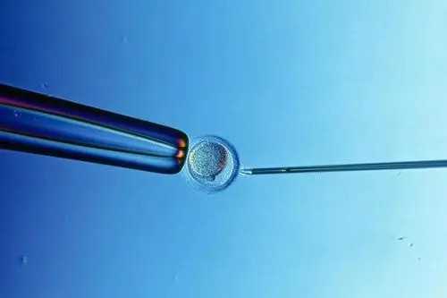 代怀男宝宝-深圳代怀宝宝-代生机构