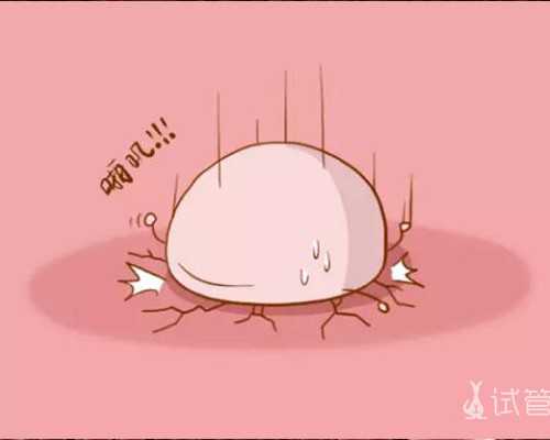 深圳哪里代孕好_深圳哪家代孕公司好【为您提供放心，安心的深圳代孕服务】