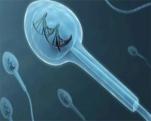 湖南长沙地下供卵可靠吗,【地下供卵可靠吗】姐妹们加油，说实在的在备孕想