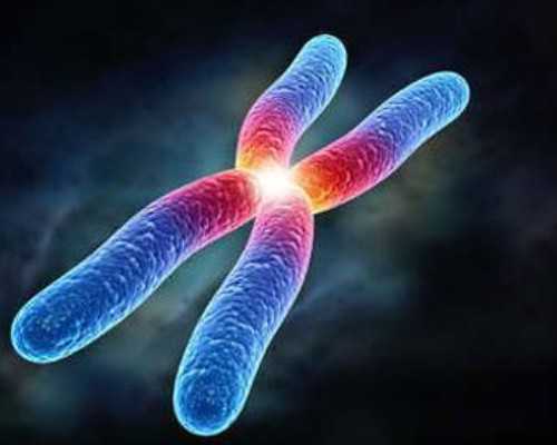 郑大一附院三代试管医院,郑大一附院三代试管