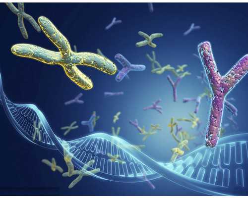 公立医院供卵需要多少钱,代怀有限公司价格