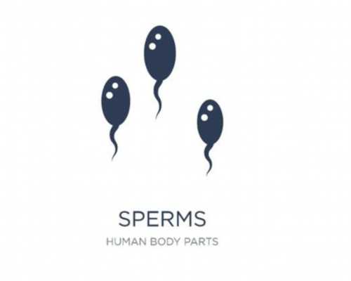 哪里有供卵试管公司-捐卵代生成功率