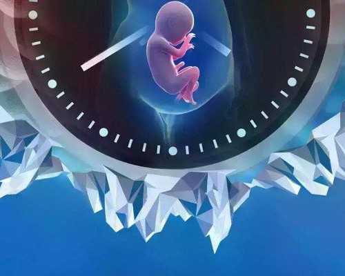 朱伟华副区长调研新洲河流域水环境提升工程-部门动态-福田政府在线