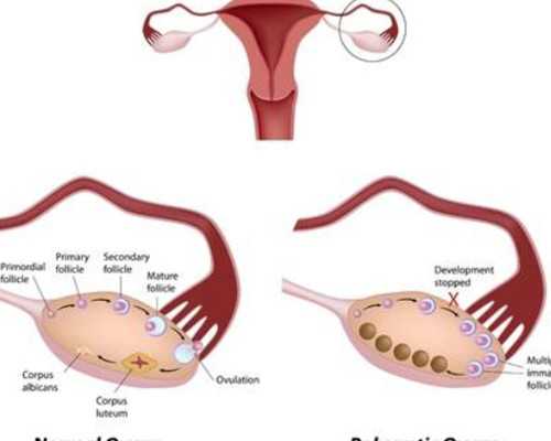 忻州试管医院哪家好