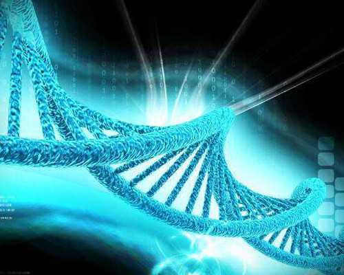 深圳合法代孕-深圳代孕做男孩价格-好孕需要具备哪些基本条件