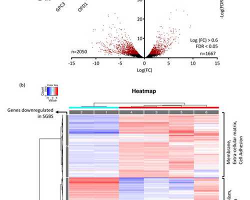 塞浦路斯供卵多少钱,国外幼儿园是如何收费的？