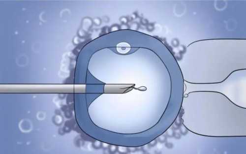 深圳代生小孩多少钱_深圳专业代孕价格【深圳选择代孕，拥有可爱的宝宝不是