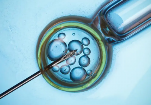 供卵试管哪里靠谱_借卵子代生后还会自怀吗