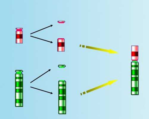 深圳可以借卵怀孕吗_深圳谁愿意做代生