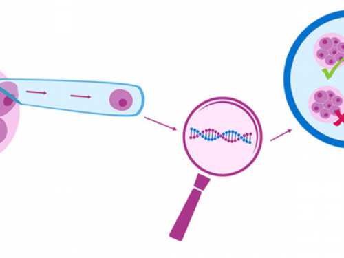 湘雅医院能做供卵吗(能在湘雅医院做三代试管吗)