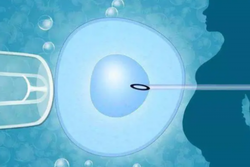 江苏借卵做试管合法吗,【江苏人民医院供卵试管合法吗】顺产八斤一两小子，