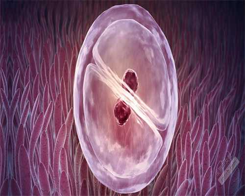 上海代怀生小孩