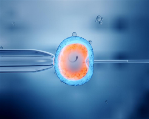 代孕的孩子像谁_2020做试管多少钱_孕35周假性宫缩